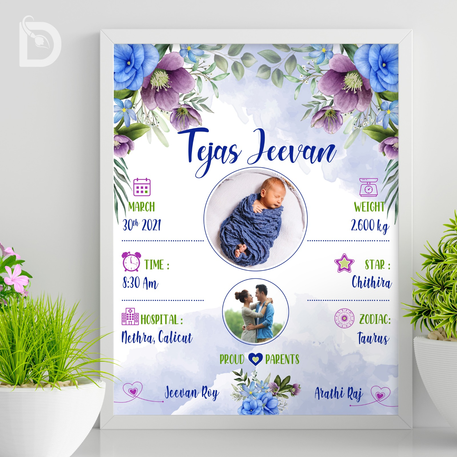 Baby Birth Detail Frames